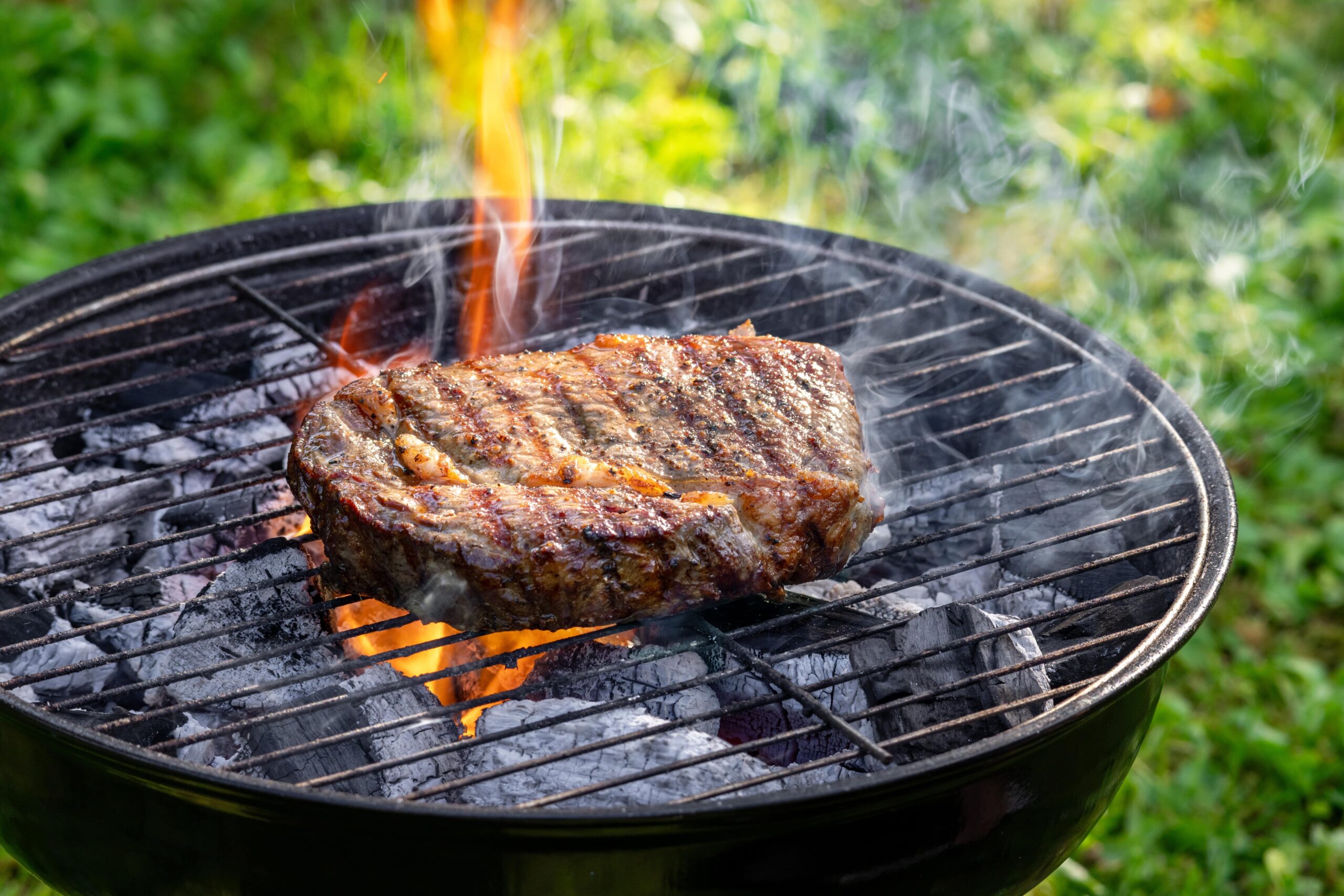 The Art of Grilling
